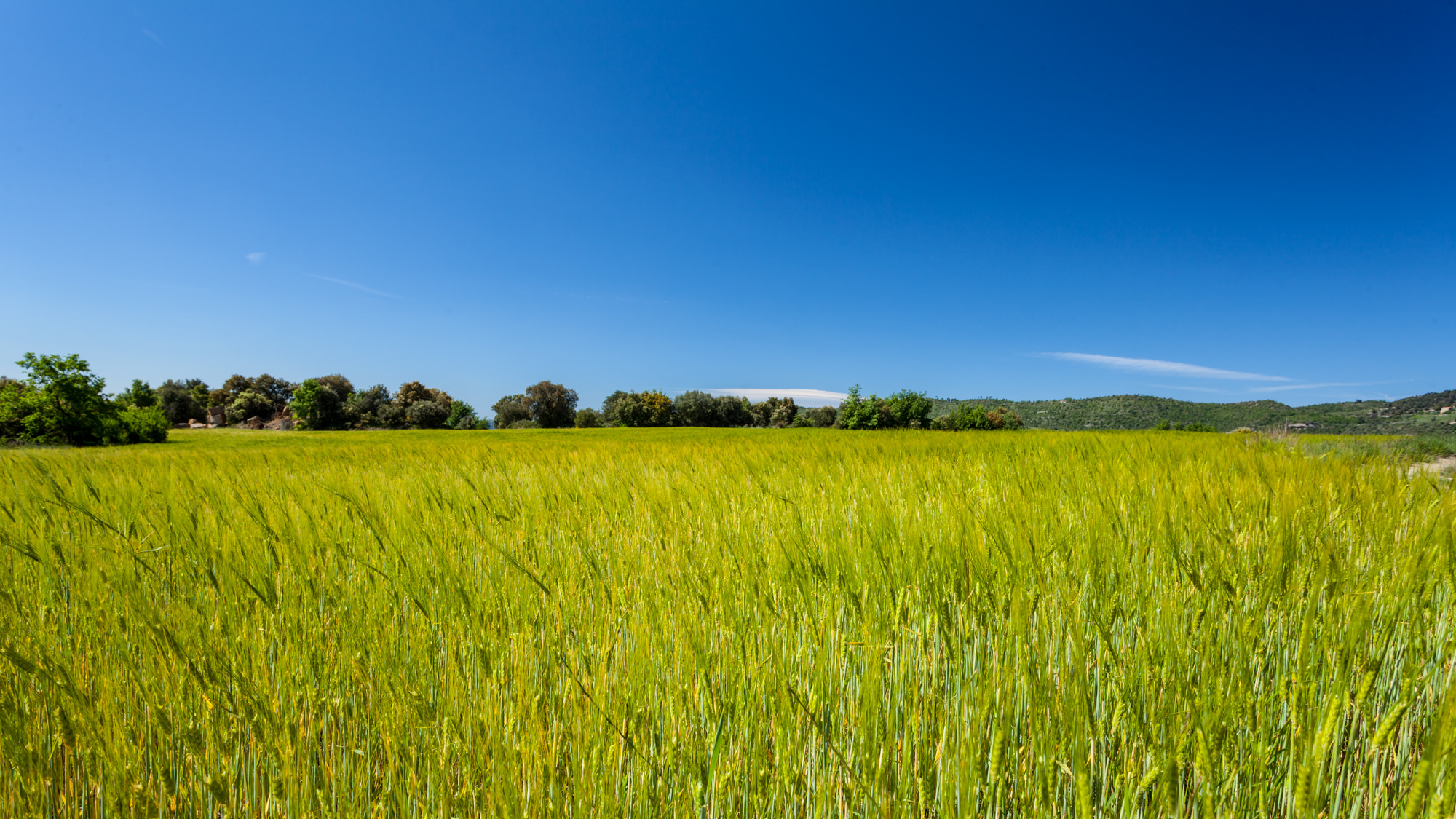 La Tor de Montclar - Cocina de otoño en el Berguedà: setas, castañas y caza