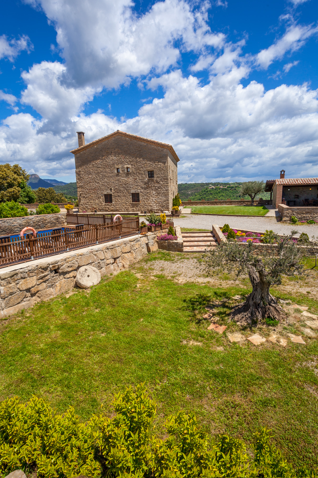 La Tor de Montclar - Árboles Monumentales del Berguedà: Gigantes Centenarios